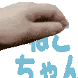 :nekochan_nade: