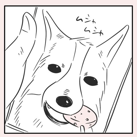 4コマ目。スマホの画面には、キャンディのかたちをした犬用のおやつを美味しそうに食べる犬(彼氏の実家で飼っている)が映っていた。おわり。