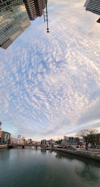 夕方、橋の上で見た空一面の高積雲