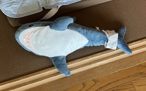 サメのぬいぐるみの写真