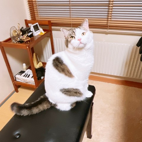 よく見るとカレンダーが機能してない