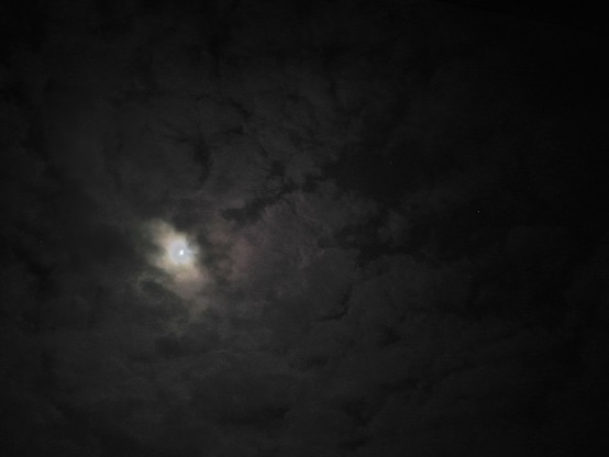 雲に隠れてぼんやりしてはいるが、月の右側が半分近く欠けているのが確認できる