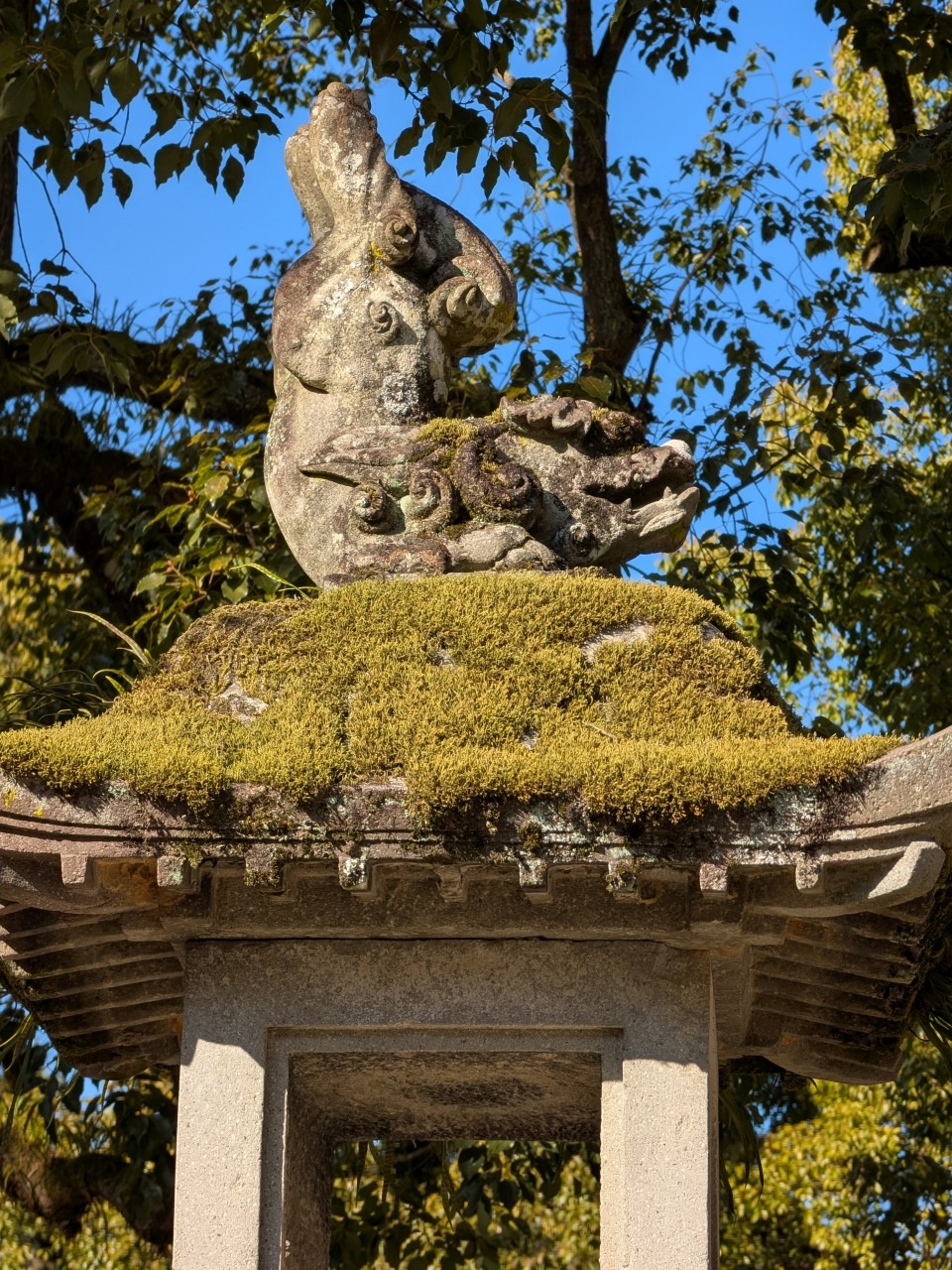 JUMA（atじゃぱねっと）: 