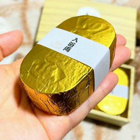 入浴両　手の平に乗せたところ　だいぶ厚みがある
