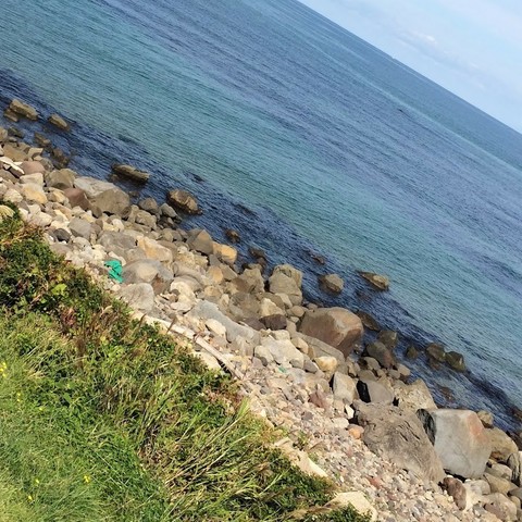 斜め構図で　青い海と石の海岸、緑の草地