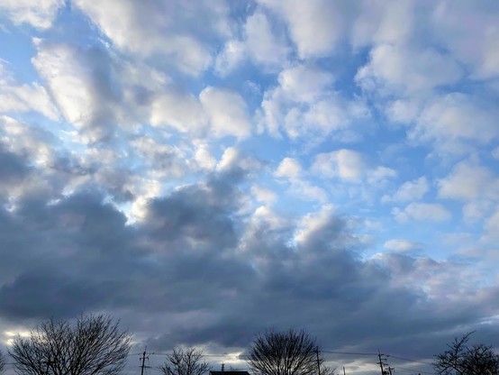 青い空にひつじ雲　下の方は灰色の雲　枯れ木のシルエット