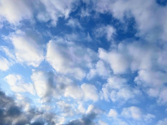 青い空にひつじ雲