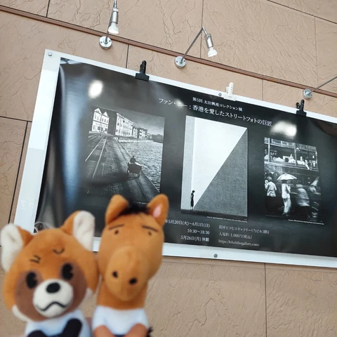 『ファン・ホー：香港を愛したストリートフォトの巨匠』ポスターを背景に写るちょっこりさんシリーズのレッサーパンダ (NAOTOさん)と馬(直己さん)のぬいぐるみの写真