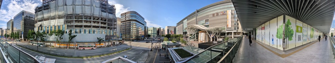 2025年6月。8階以上の高さになった。
